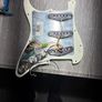 Fender Mexican strat loaded pick guard 2018 Image 2