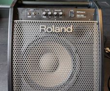 Roland PM200 Monitor Speaker. Excellent condition