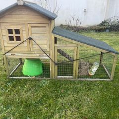 Rabbit or guinea pig hutch