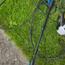 power washer Image 3