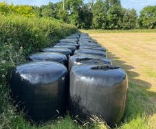 Silage bales
