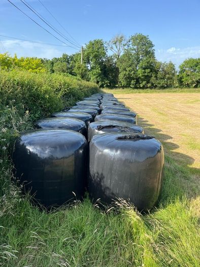 Silage bales