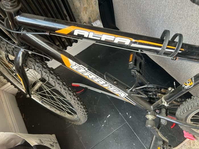 Adult Mountain Bike
