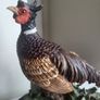Capodimonte Pheasant Sculpture Fifurine Image 2