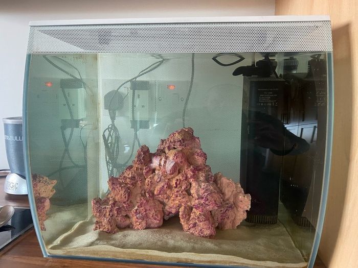 fish tank salt water 60 litre