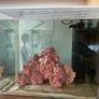 fish tank salt water 60 litre Image 2