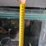 1000ltr Fish Tank Best Offer Takes It, Need It Gone Asap Image 10