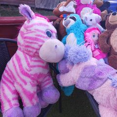 cuddley toys.