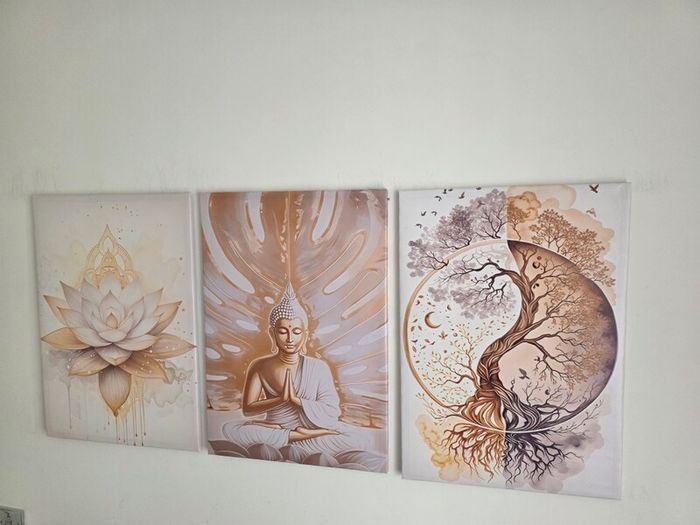 3 canvas framed 46x66cm each size