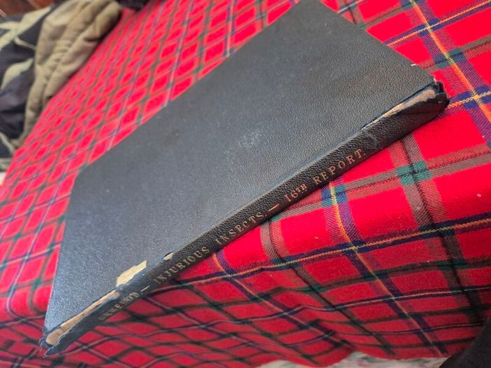Injurious insects by Ormerod 16th report original Antique book