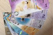 Arctic Territories, Set 14 PCS, 1-500 Polar, Animal Banknote ( 2010 - 2017 ) Notes , UNC Codition