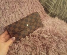 LV ladies wallet & card holder