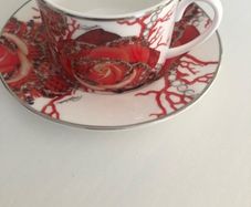 Roberto Cavalli Home Cups and Saucers