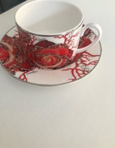 Roberto Cavalli Home Cups and Saucers