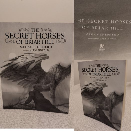 The secret horses of Briar Hill by Megan Shepherd