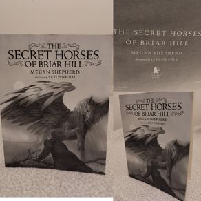 The secret horses of Briar Hill by Megan Shepherd