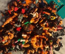 Restlwers 90s collectibles