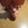 Large roaring dinosaur - teddy triceratops - big lizard - godzilla Image 2