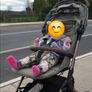 stroller Image 5