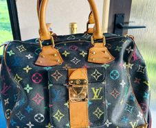 LV inspired handbag