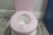 pink potty