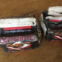 Shotgun pellets