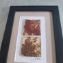 Unique artwork from Ocean Petals art studio are handmade with real Australian native fliowers Image 2