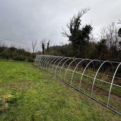 3x12m Greenhouse