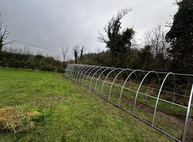 3x12m Greenhouse
