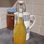 Organic Kombucha SCOBY Image 2