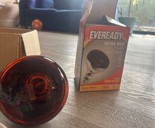 Infrared Heat Lamp + Bulb (unused)