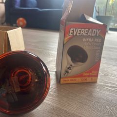 Infrared Heat Lamp + Bulb (unused)