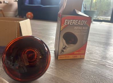 Infrared Heat Lamp + Bulb (unused)