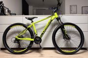 ORBEA MX40 Hardtail Bike