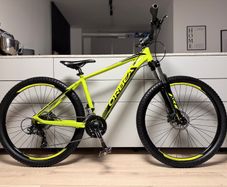 ORBEA MX40 Hardtail Bike