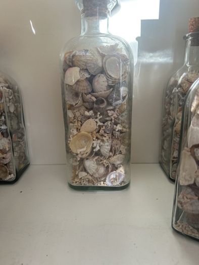 Sea shells in bottles