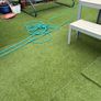Garden Image 2