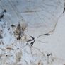 wall panel Image 8