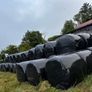 Silage bales Image 2