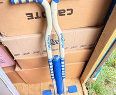 FREE: ProSport Blue Pogo Stick