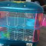 hamster cage Image 3