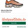 Premium Nike Air Max TN Plus Pink Salmon Image 5