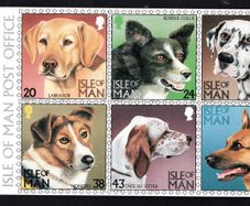 1996 Isle of Man Dogs Commemorative Stamps Presentation Pack