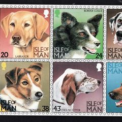 1996 Isle of Man Dogs Commemorative Stamps Presentation Pack