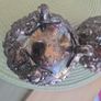 silver plated Image 6