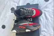 Dior B22