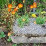 trough, planter Image 2
