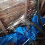 free shed Image 2