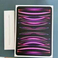 iPad Pro 11 inch M2 (4th Gen) 256 GB with Apple Pencil