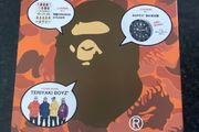A Bathing Ape BAPE TERIYAKI BOYZ COVER 2009 Spring Summer Lookbook Catalogue
